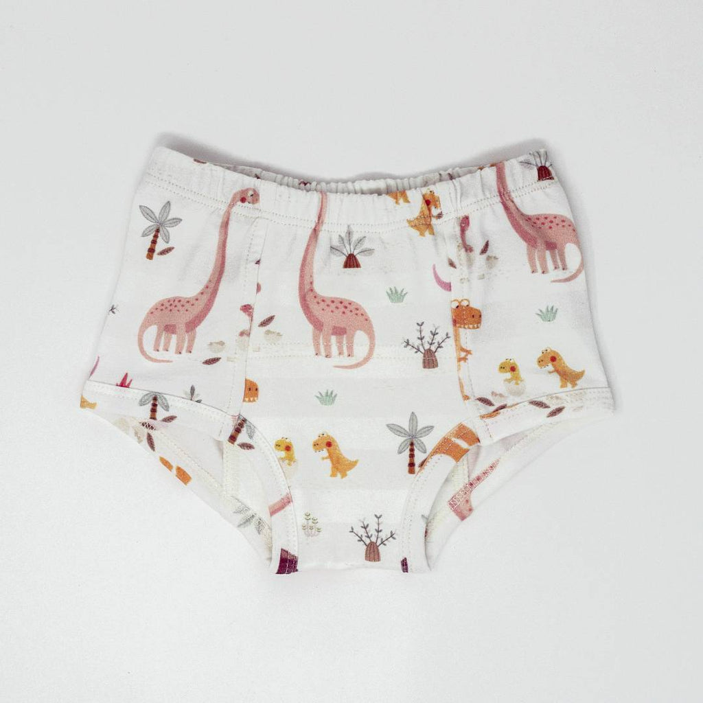 Rose Dinosaur Family Potty Training Pants
