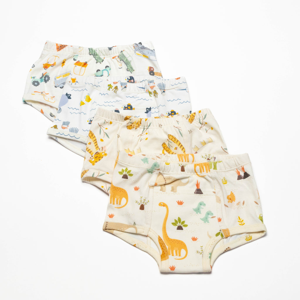 Organic Potty Training Underwear – Size 2 & 4( 4 pack)