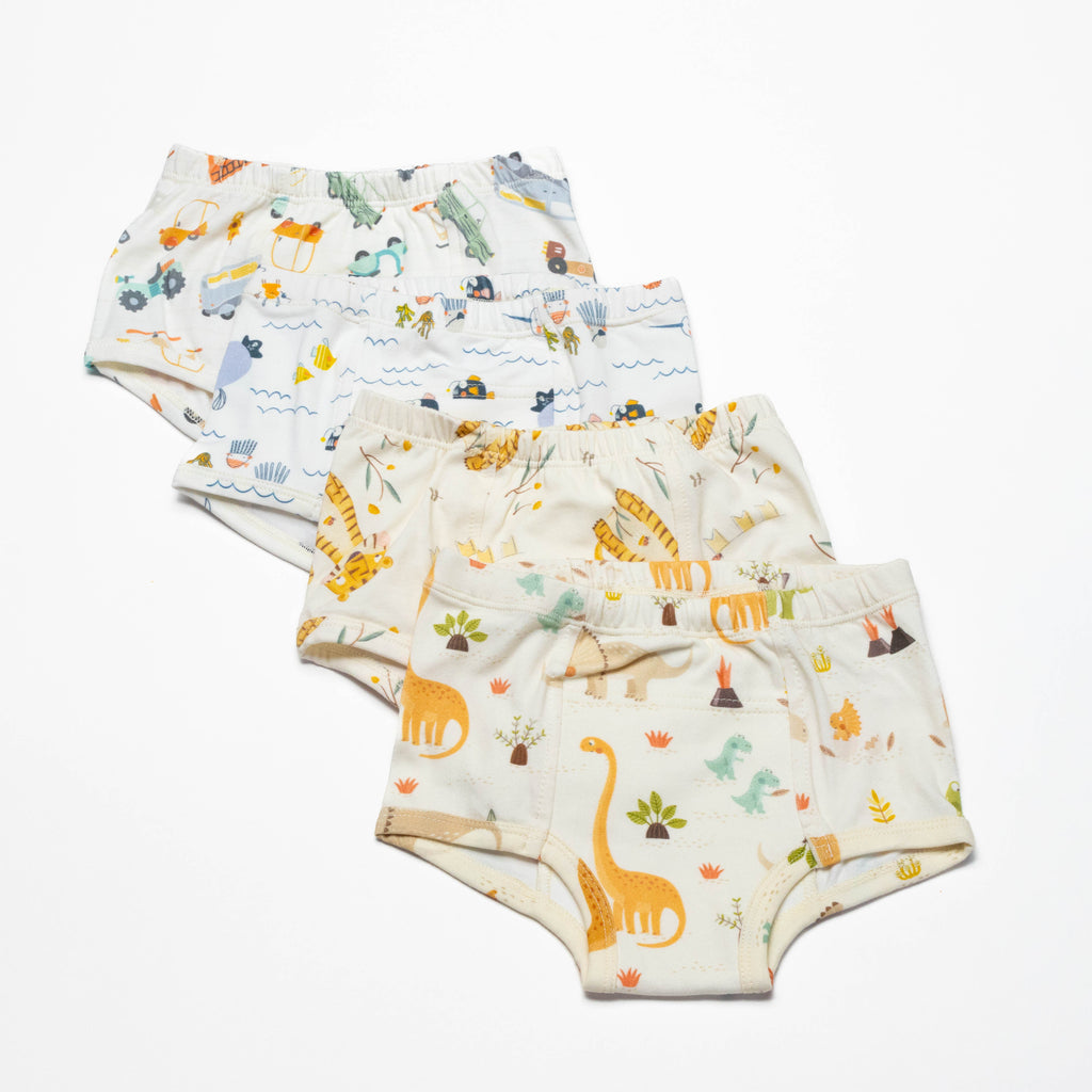 Organic Potty Training Underwear – Size 2 & 4( 4 pack)