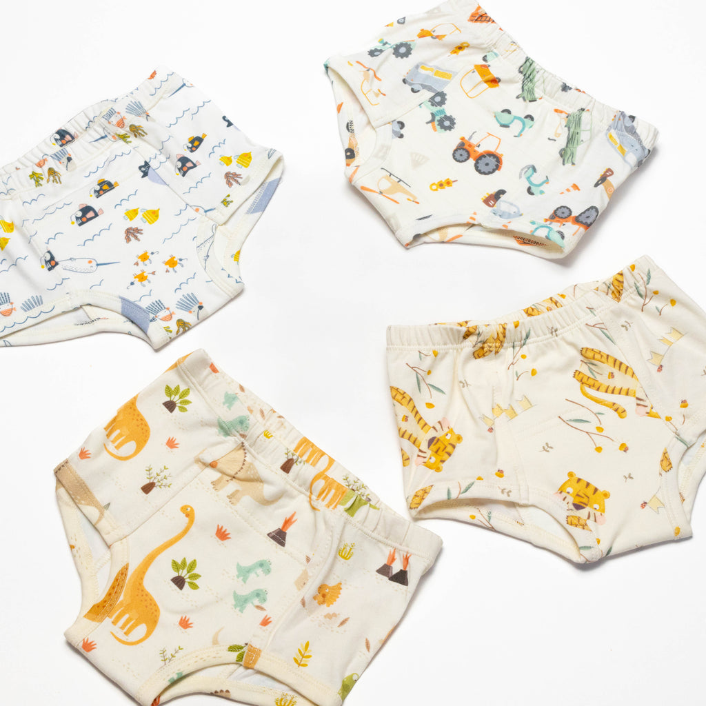 Organic Potty Training Underwear – Size 2 & 4( 4 pack)
