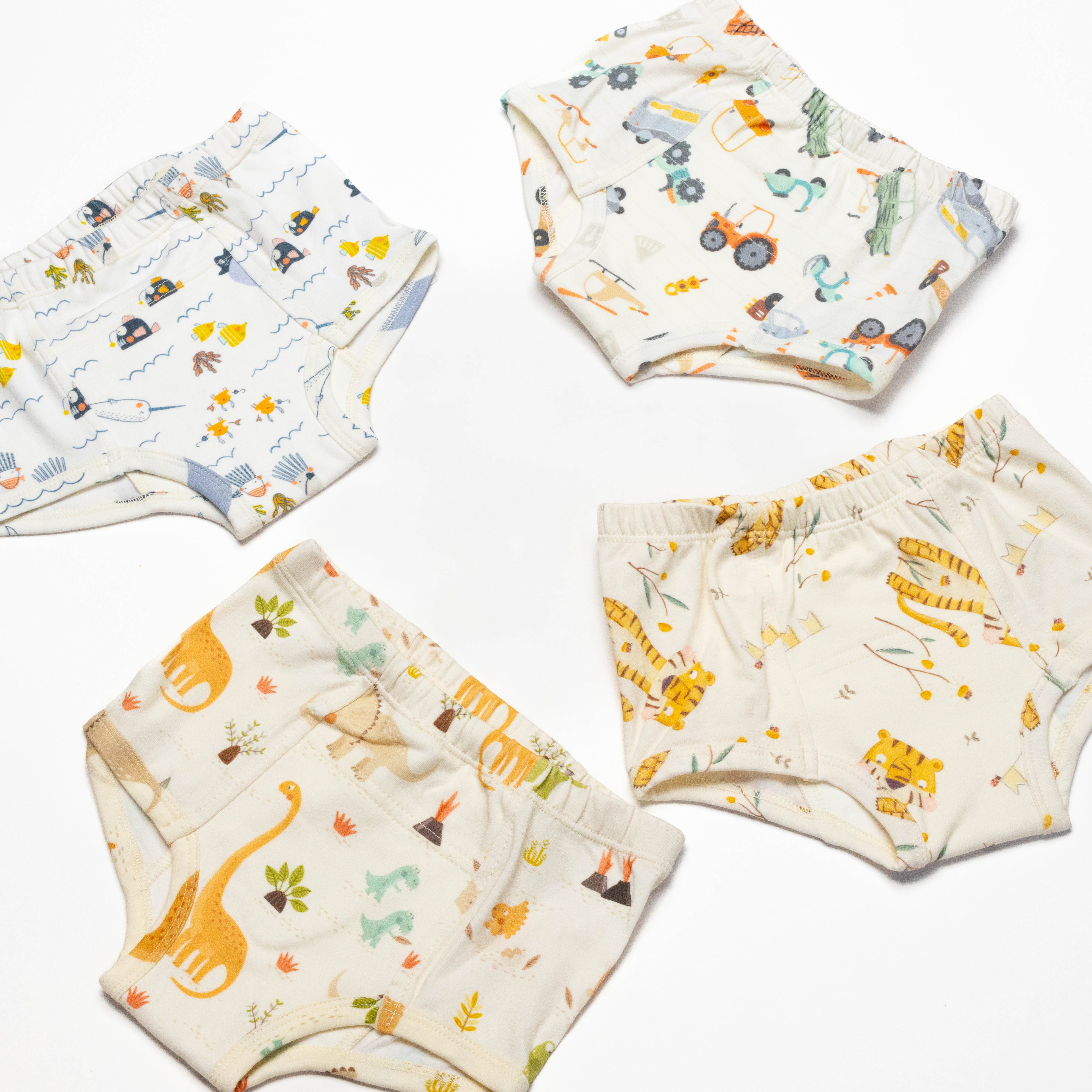 Organic Potty Training Underwear – Size 2 & 4( 4 pack)