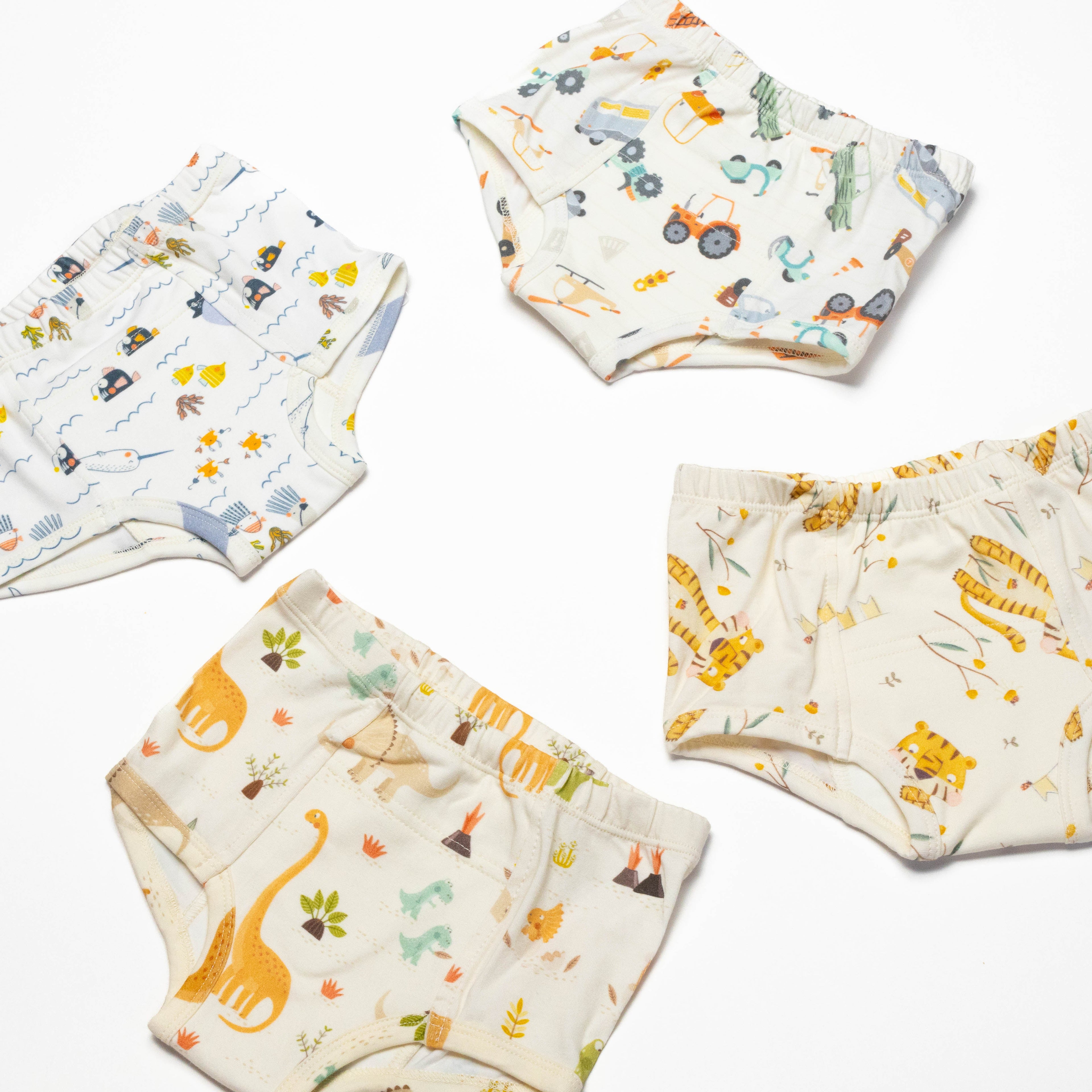 Organic Potty Training Underwear – Size 2 & 4( 4 pack)
