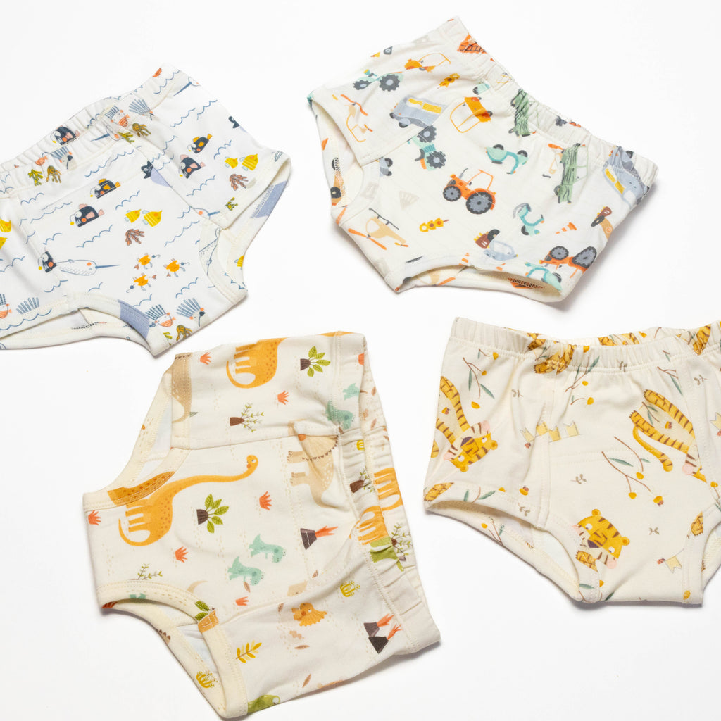 Organic Potty Training Underwear – Size 2 & 4( 4 pack)