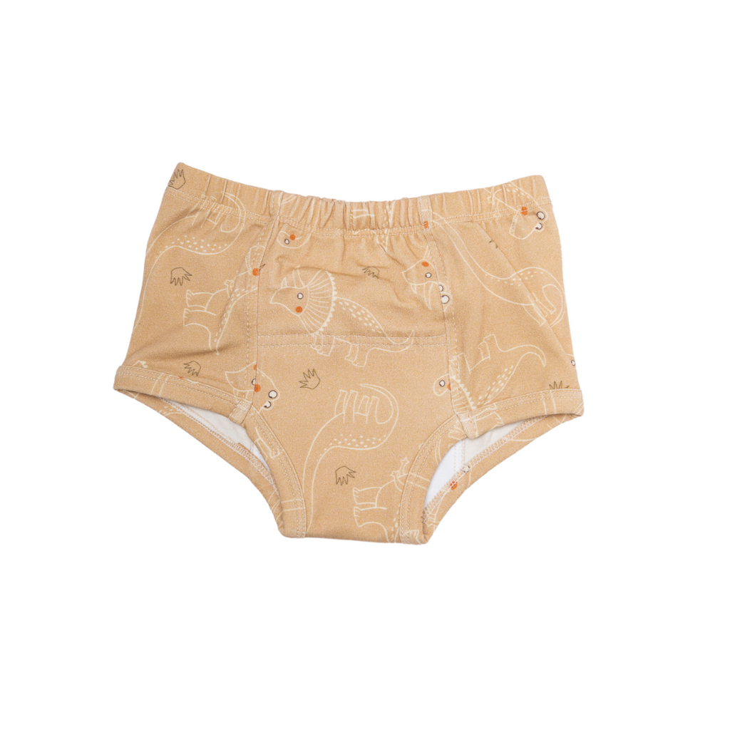 Bundle Dinosaur Potty Training Pants (4 Pack)