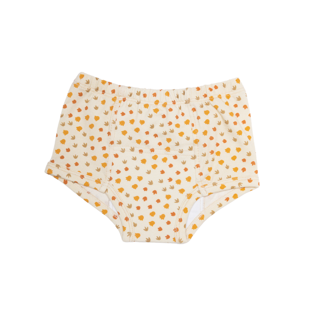 Bundle Dinosaur Potty Training Pants (4 Pack)