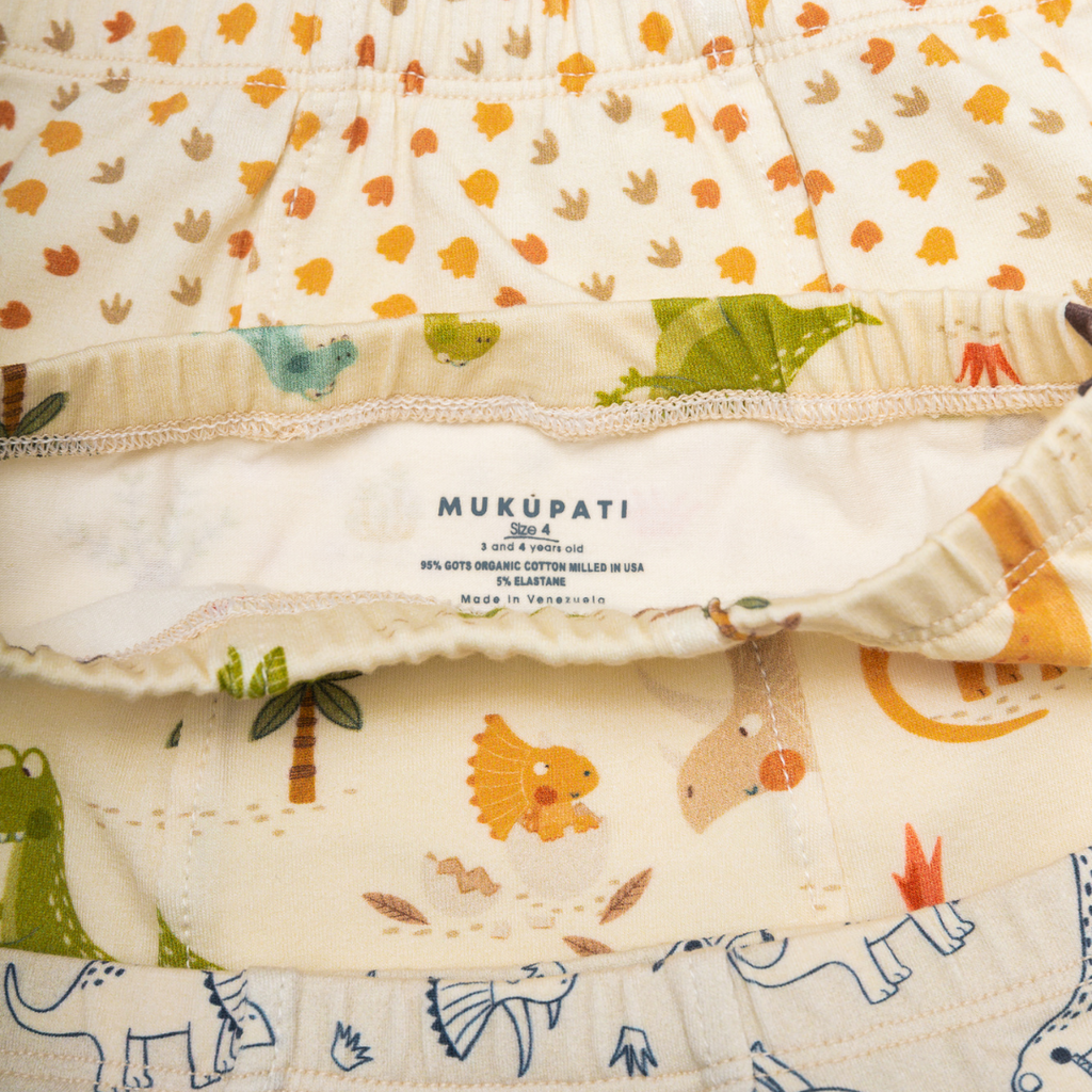 Bundle Dinosaur Potty Training Pants (4 Pack)